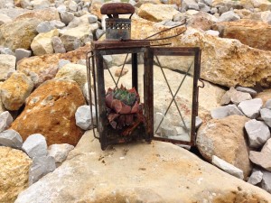 2013-10-06 12.16.46 HDR